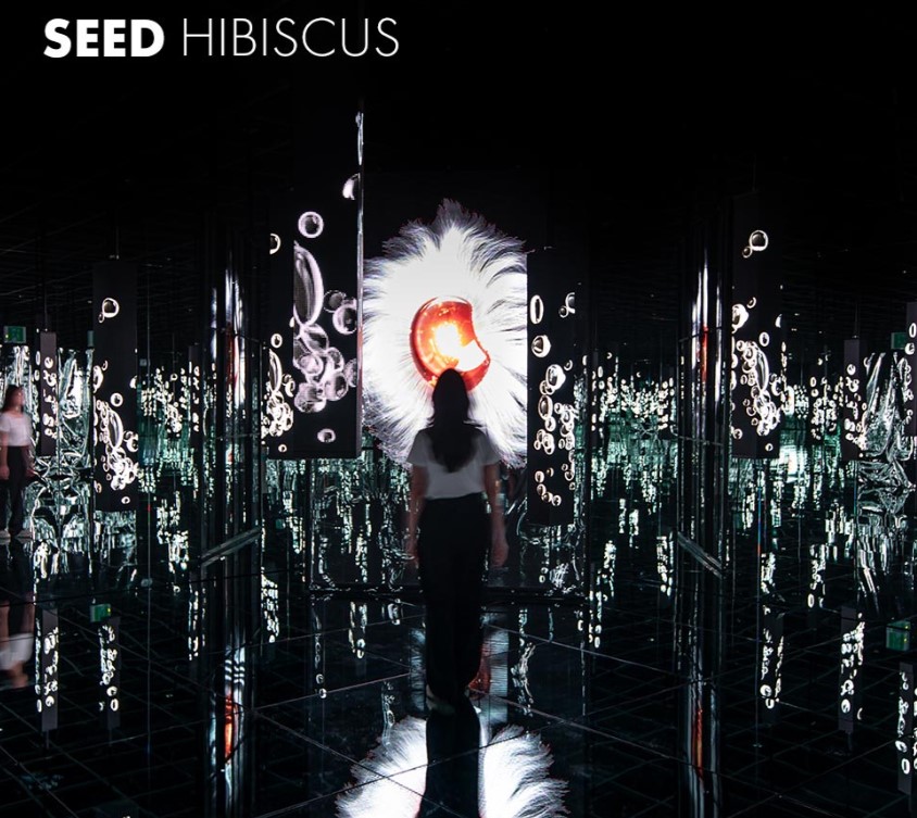 부산 아르떼뮤지엄 