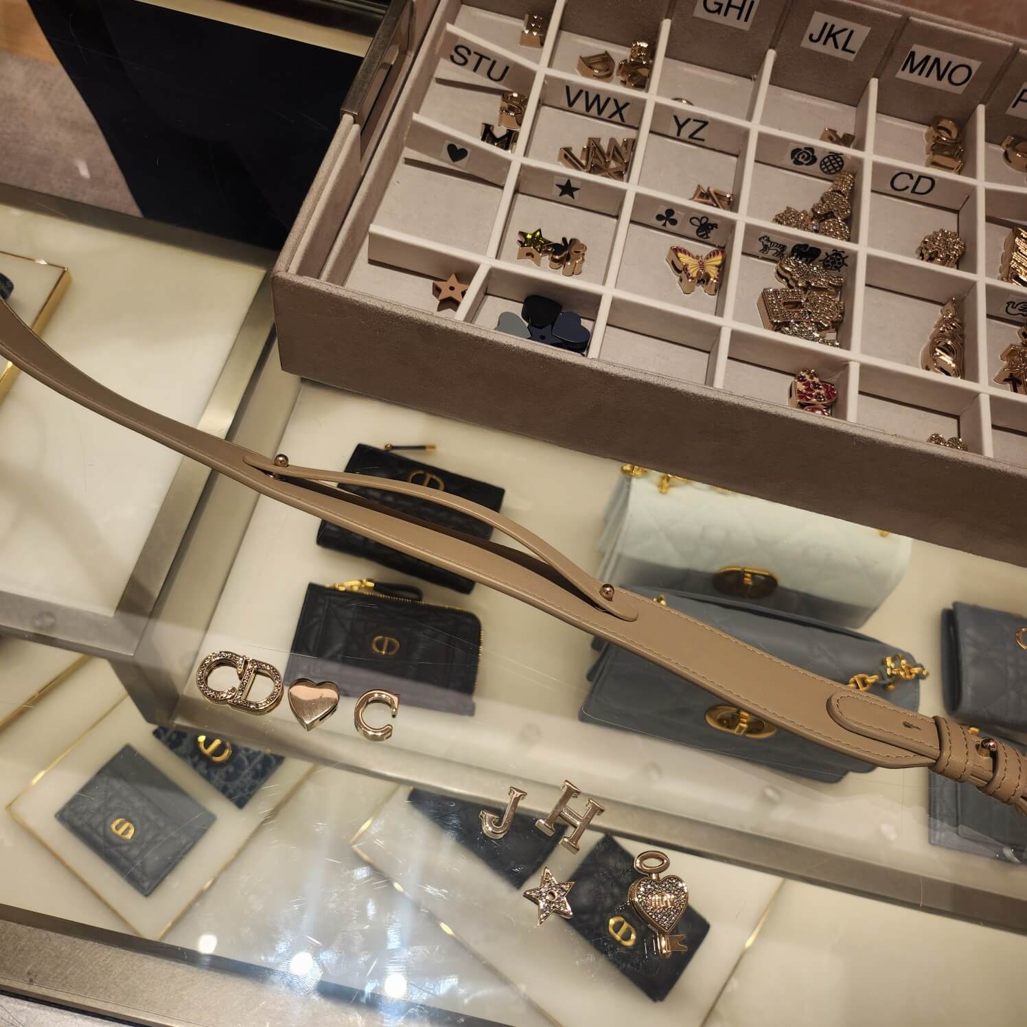 레이디디올_참종류