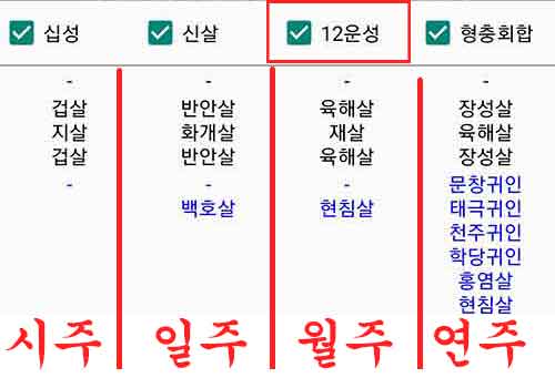 만세력에서 년월일시 장성살 확인하는 방법