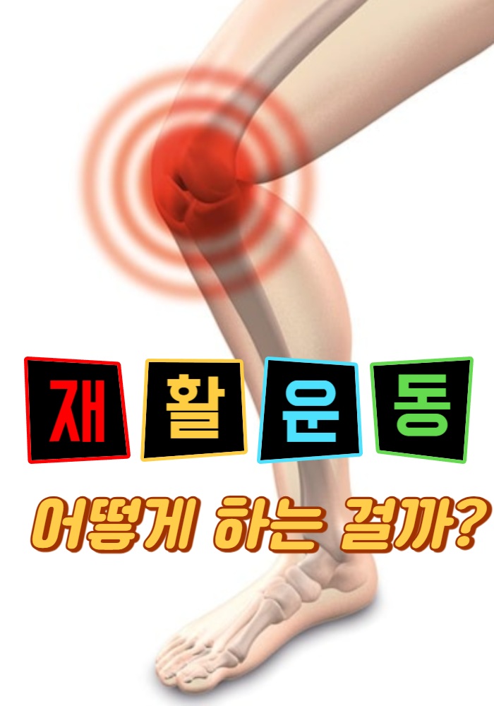 1.재활 운동은 어떻게 하는 걸까?