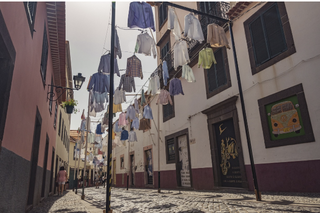 요즘 뜨는 워킹홀리데이 지역 (포르투갈, 뉴질랜드, 영국)