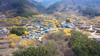 구례산수유마을