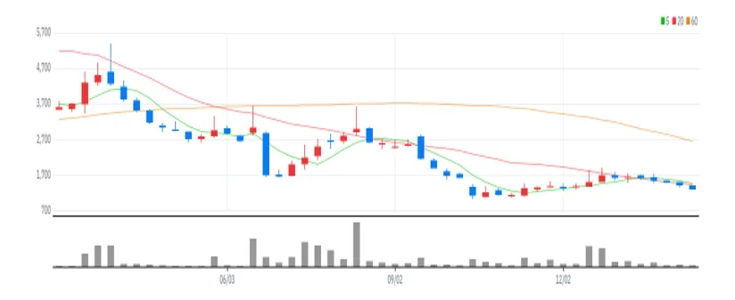 버킷스튜디오 주봉