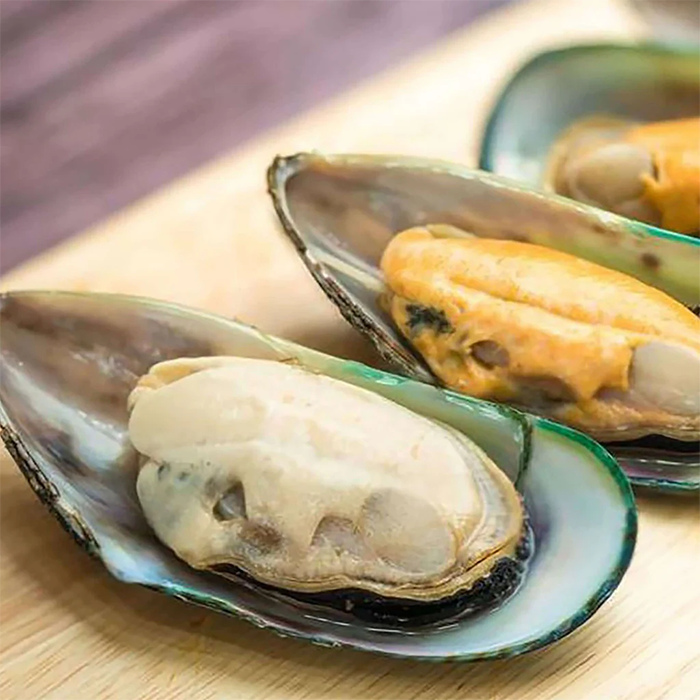 그린립 홍합(Green-lipped Mussels)