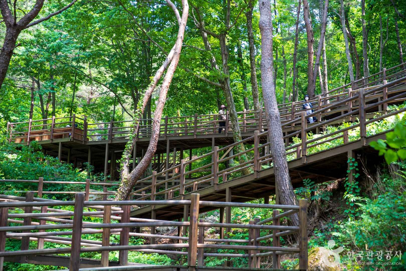 거창 항노화힐링랜드