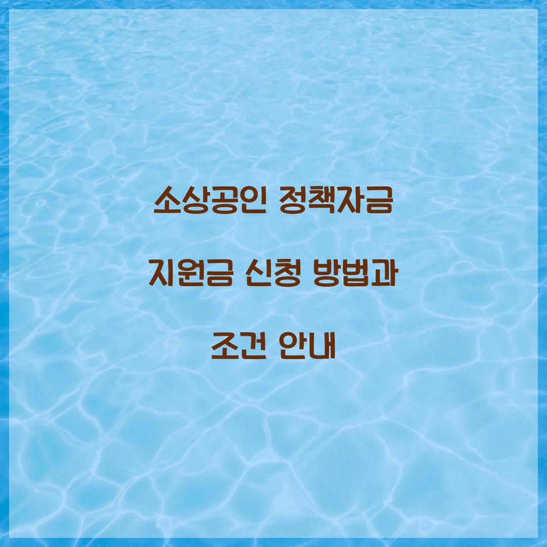 소상공인 정책자금 지원금