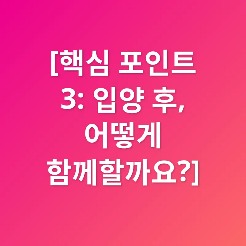 반려동물 입양_3