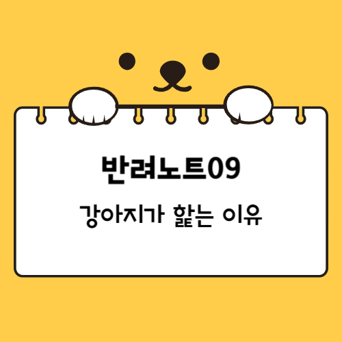 강아지가 핥는 이유