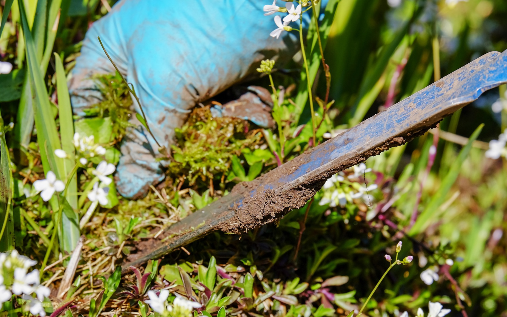 벌초작업 안전가이드 응급상황대처