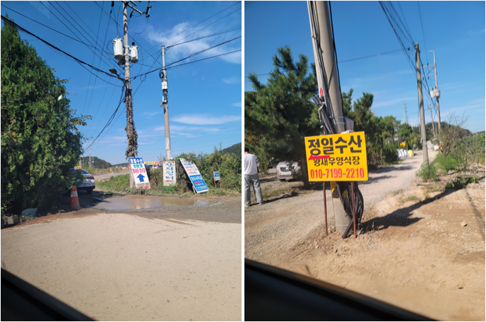 정일수산 가는 길