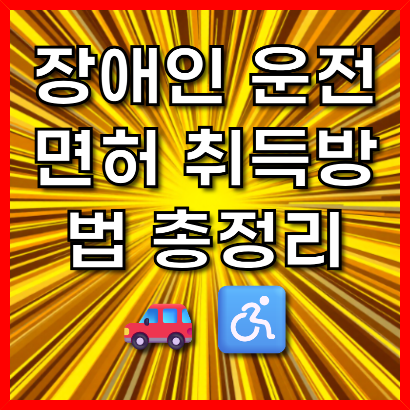 장애인 운전면허 취득방법 총정리 🚗♿