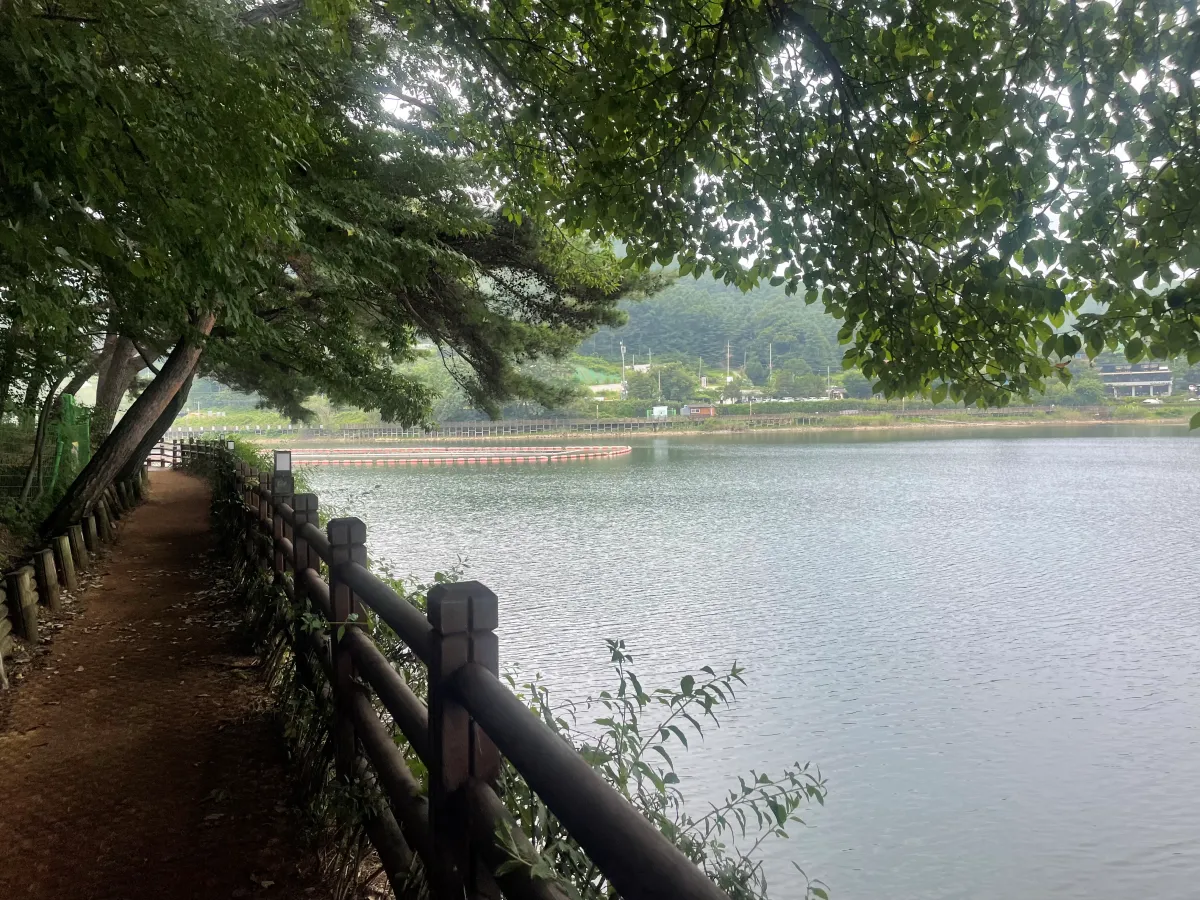 포천-국립수목원-근처-데크길에서-산책하기-좋은-고모리호수공원,-고모저수지