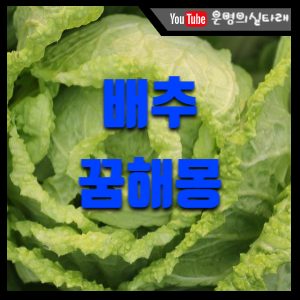 썸네일사진