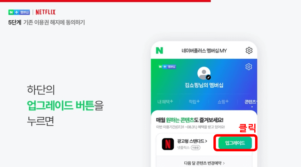 네이버 멤버십 넷플릭스 무료구독 방법 총정리