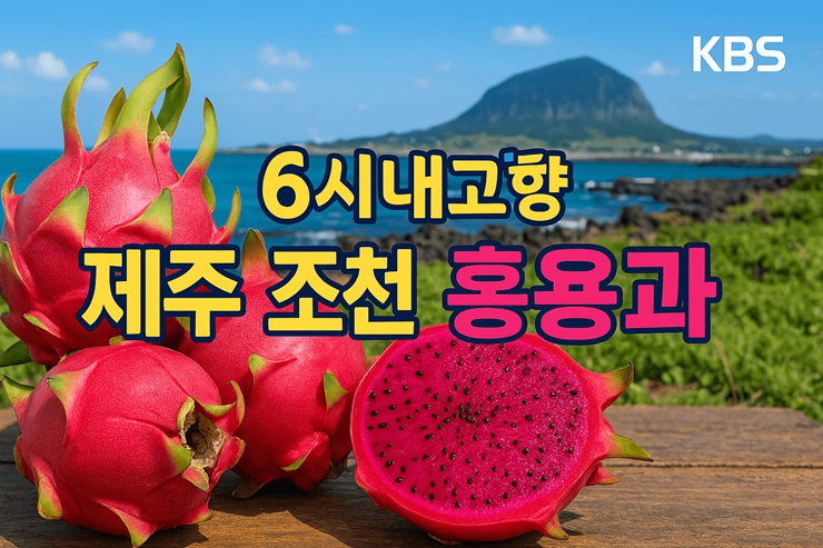 6시내고향 제주 조천 홍용과 썸네일