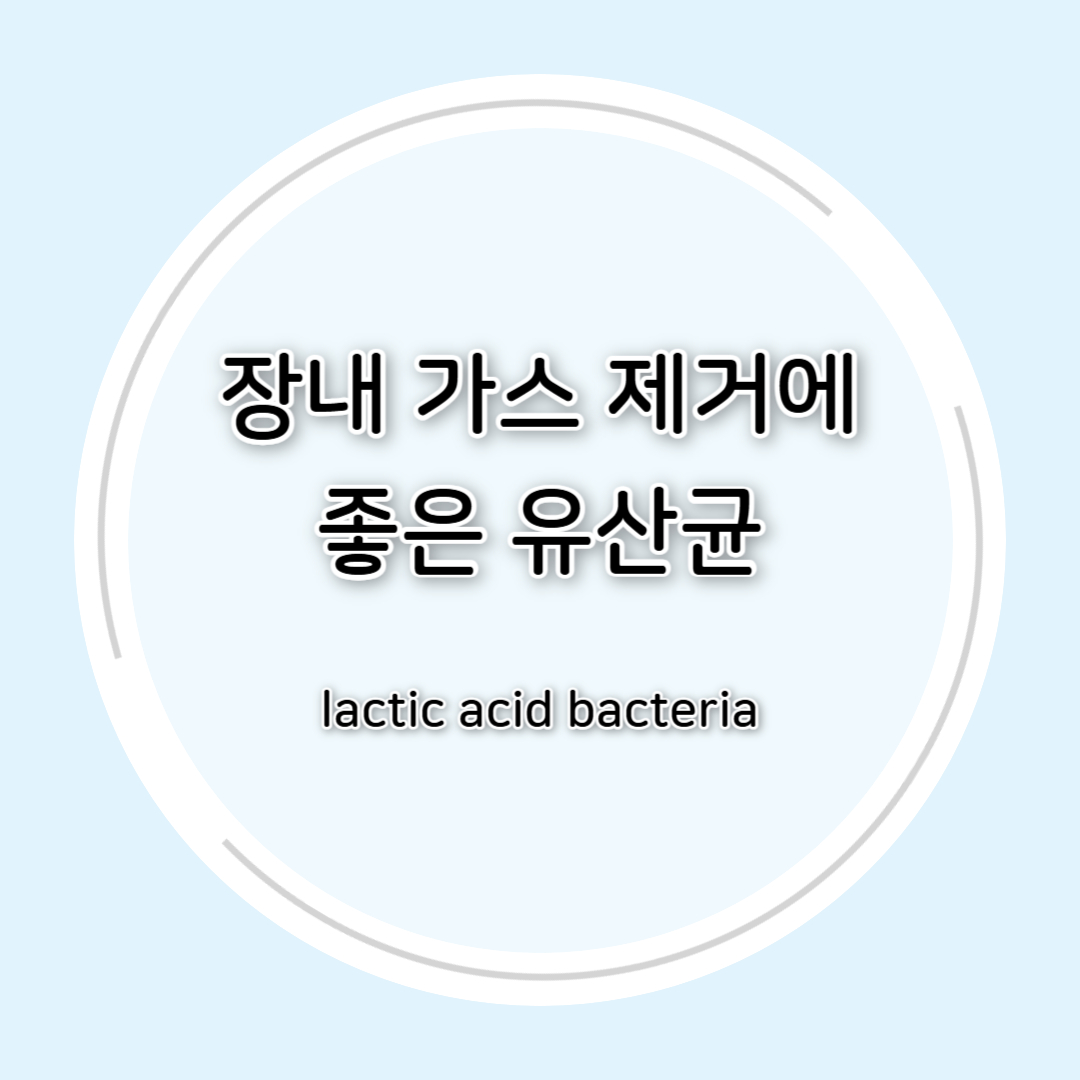 장내 가스 제거에좋은 유산균 총정리