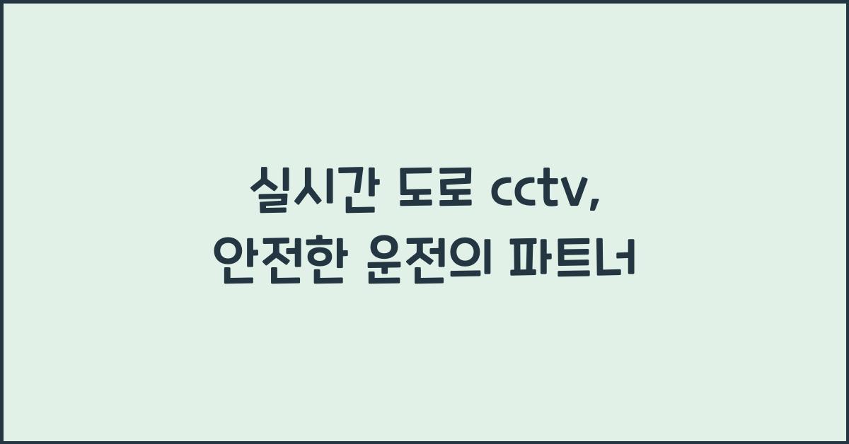 실시간 도로 cctv