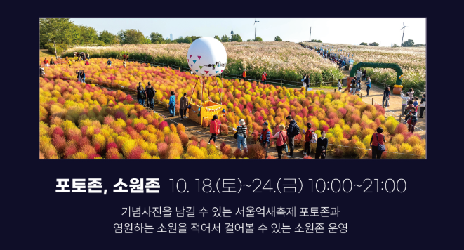 서울억새축제 2025 가이드