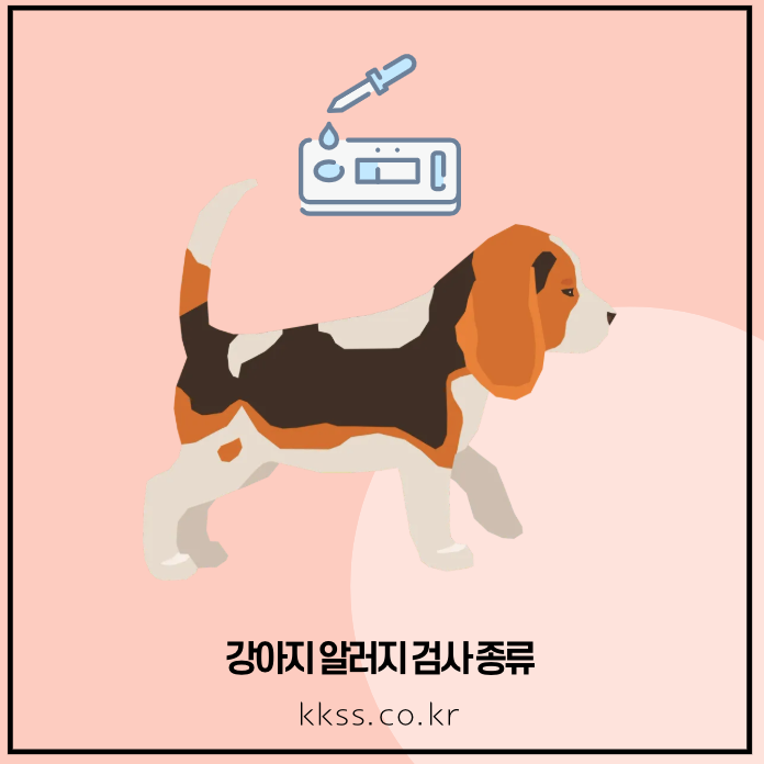 강아지 알러지 검사 종류