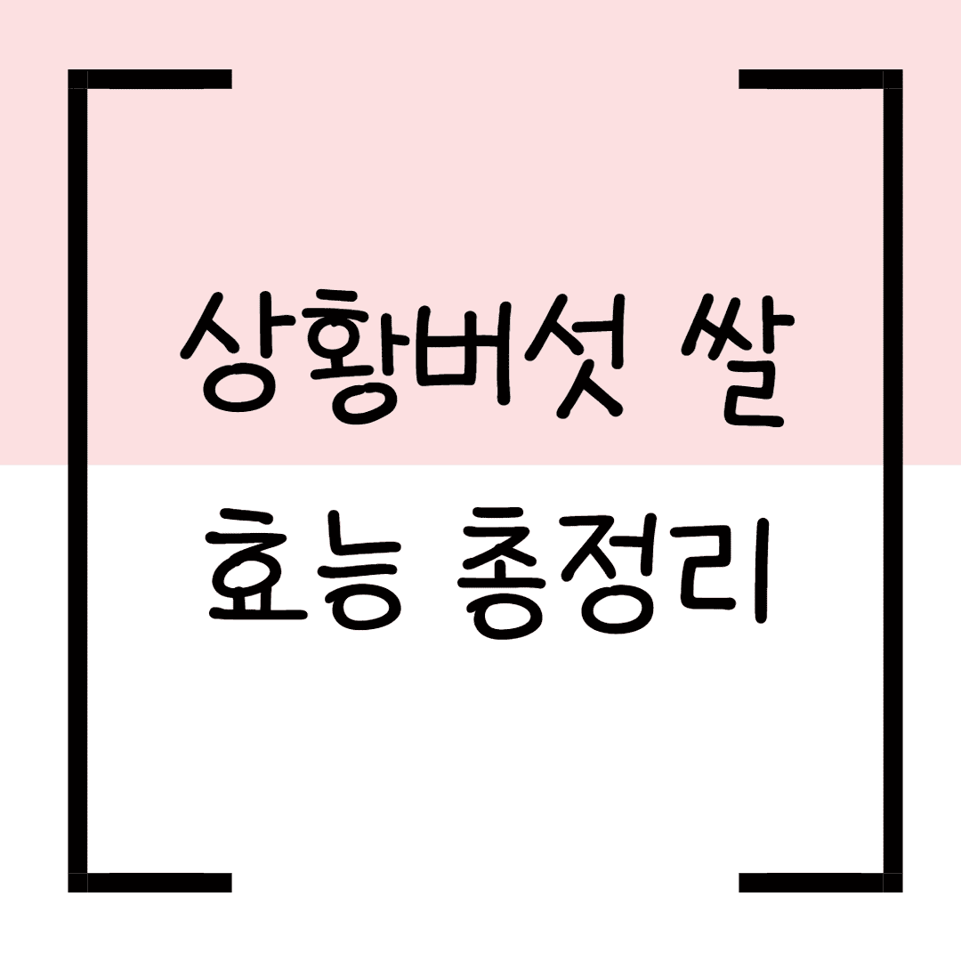 상황버섯 쌀 효능 총정리