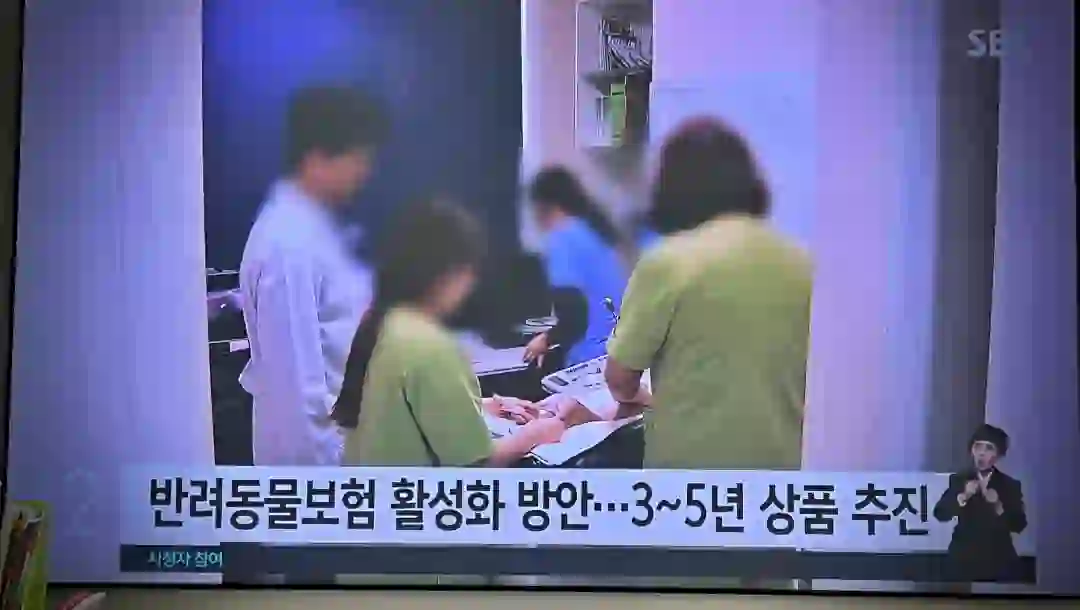 반려동물보험 활성화 방안 5년 이내 상품 추진한다라는 기사 입니다.