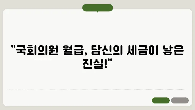 국회의원 보수 현황