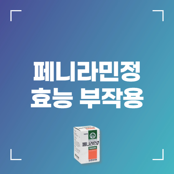페니라민정 부작용 효능 복용방법