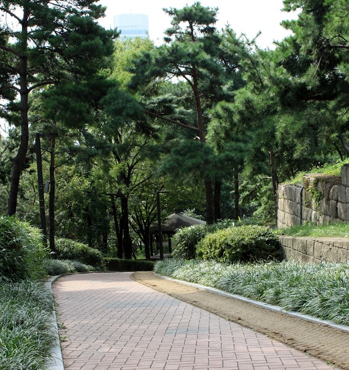 30분 걷기, 얼마나 많은 칼로리가 소모될까? 걷기의 놀라운 장점