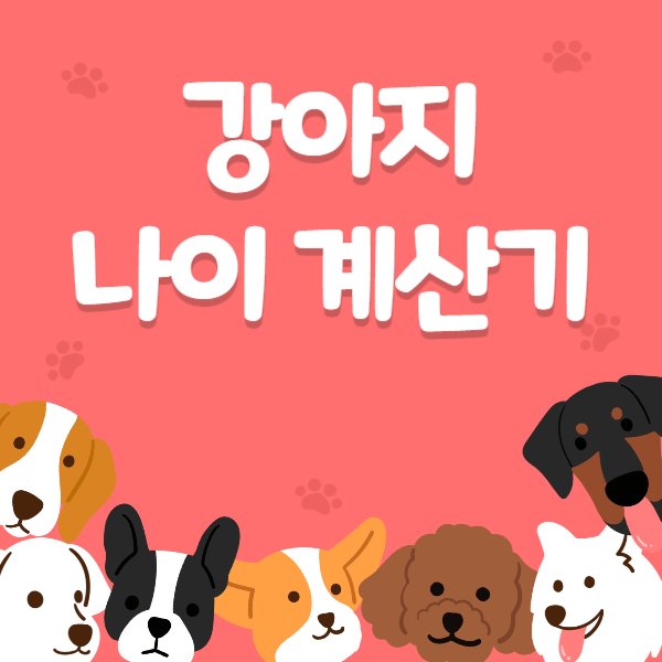 강아지 나이 계산기