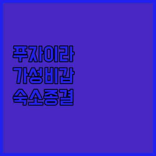 아랍에미리트 푸자이라 여행 가성비 숙..