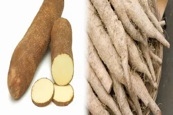 마 효능 보관법 먹는법 마즙 만들기까지 종합 가이드_3