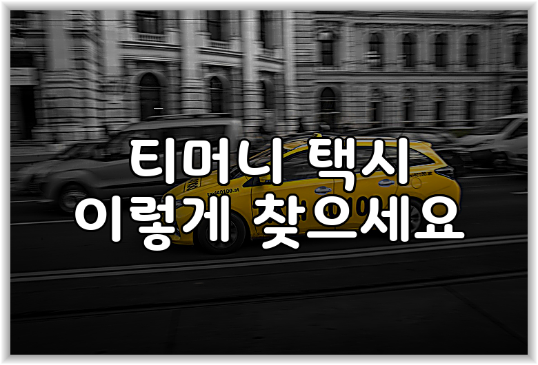 티머니 택시 이렇게 찾으세요