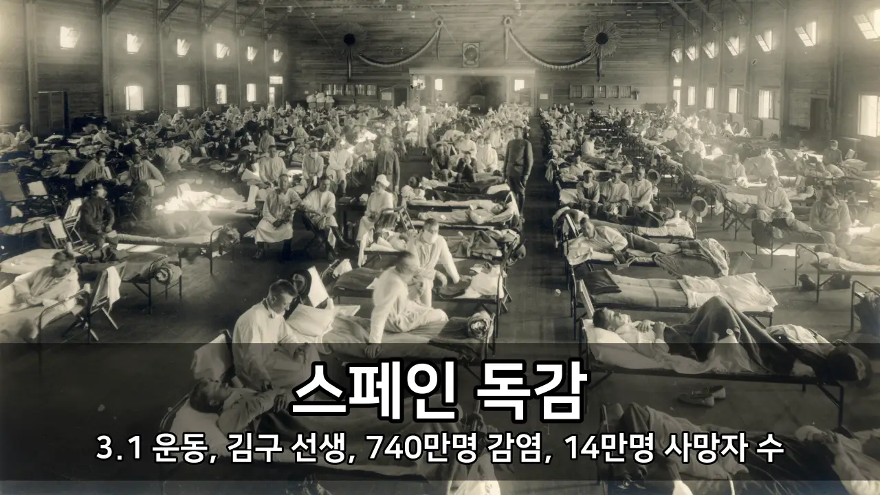 바이러스 스페인 독감 - 3.1 운동, 김구 선생, 740만명 감염, 14만명 사망자 수