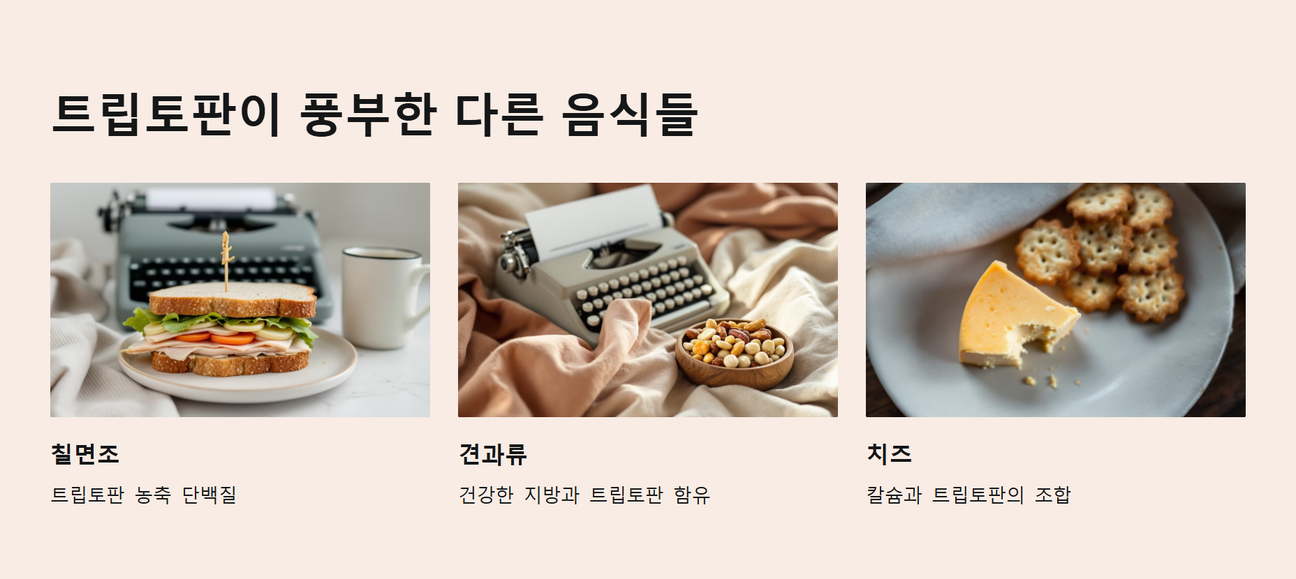 그 외 트립토판이 풍부한 음식들