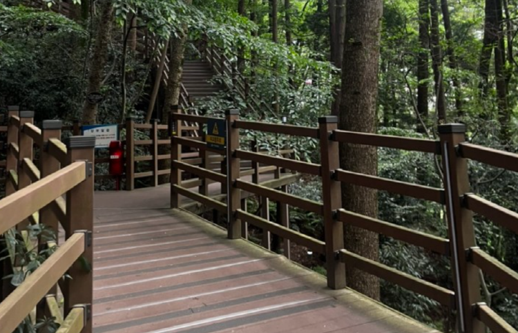 백양산 등산코스