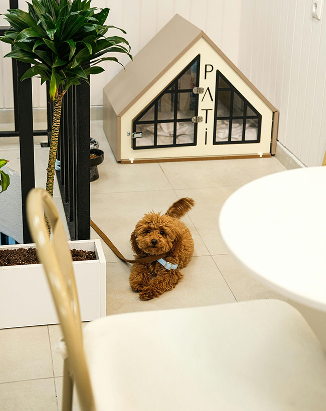 펫프렌들리숙소