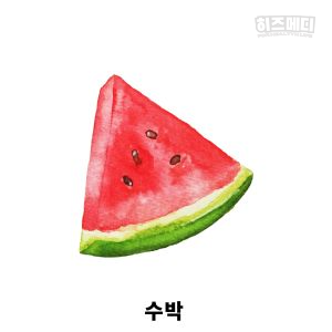 입덧에 좋은 음식