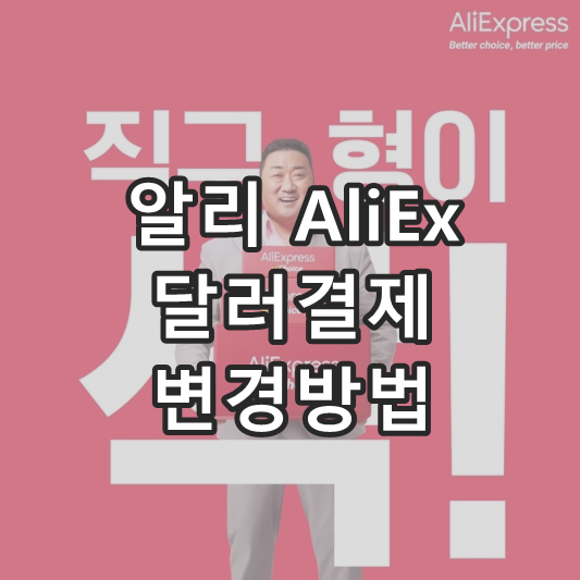 알리 달러결제