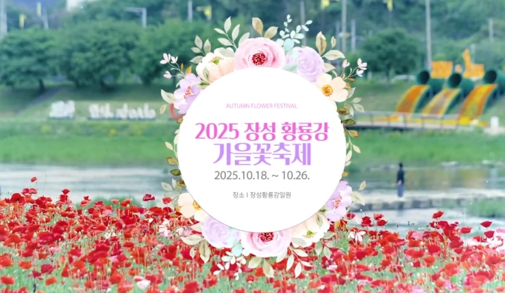 🌼 2025 장성 황룡강 가을꽃축제 일정 및 관람 포인트 총정리 관련이미지