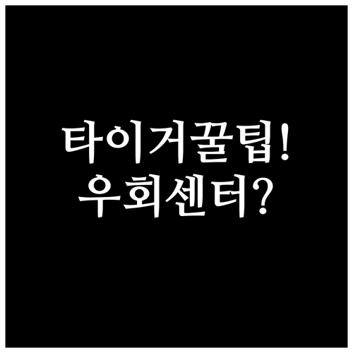 타이거에어 타이완 고객센터 이용 방법..