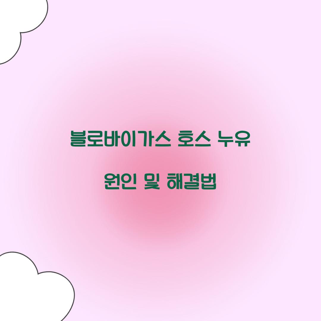 블로바이가스 호스 누유