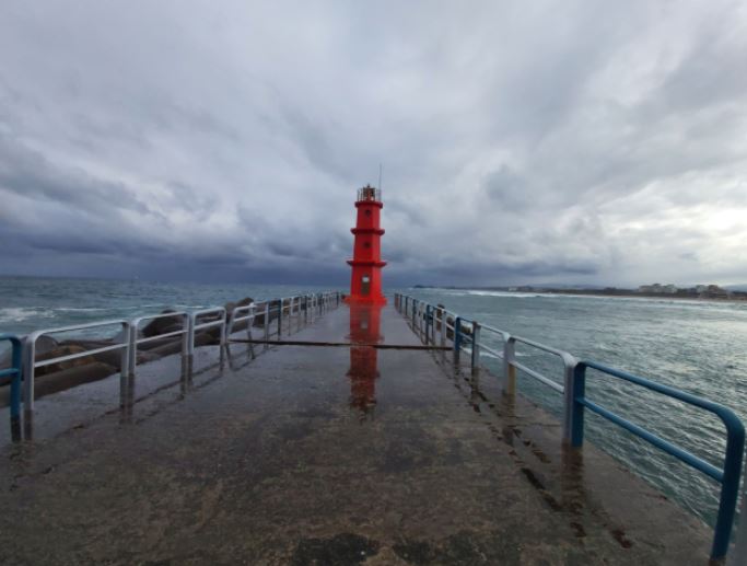 양양 낙산항 방파제 추락사고 50대 여성 탤런트 A 누구 동료 배우 B 조성규