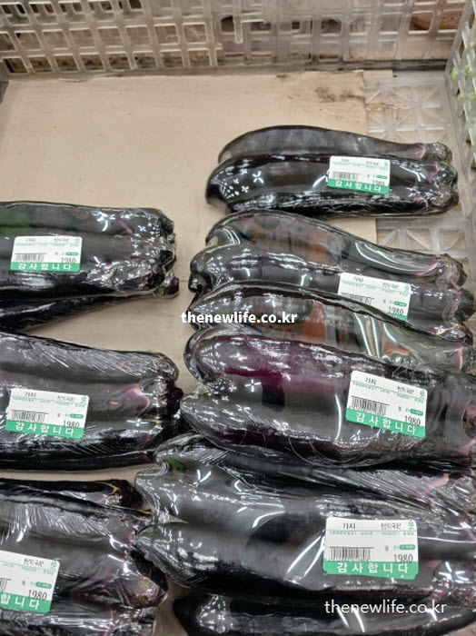 껍질의 영양소를 보존하기 위해 구워서 조리하는 가지 효능 섭취법 실물 모습