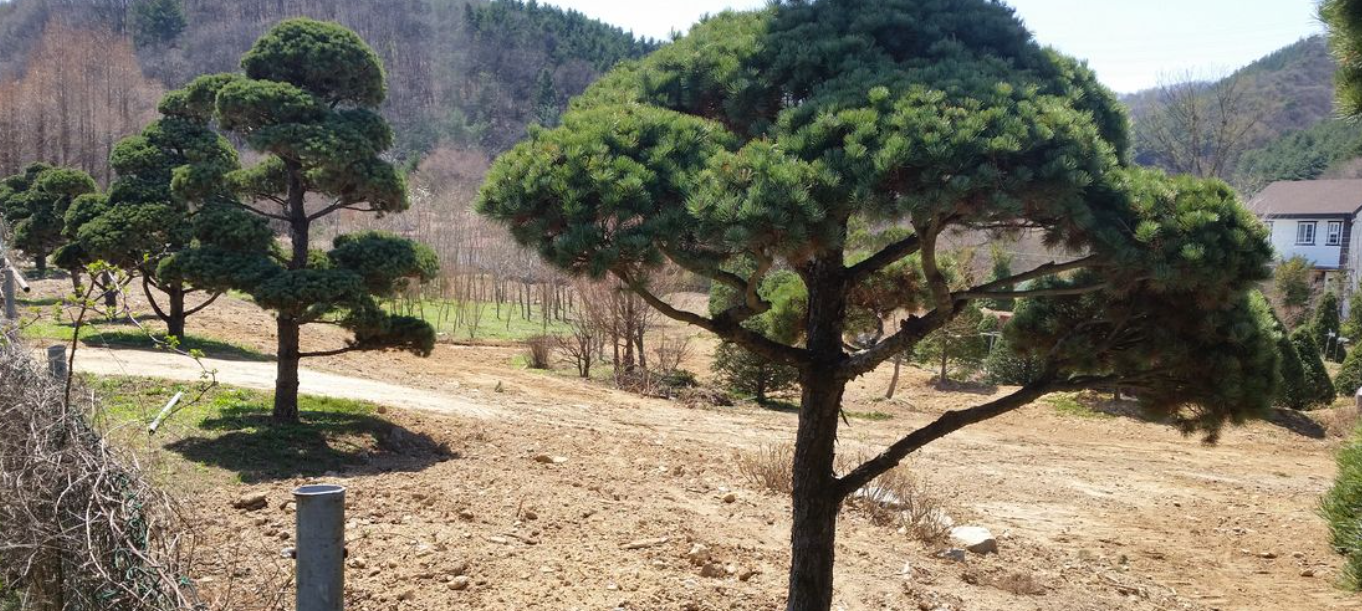 계획관리지역&middot;생산관리지역&middot;보전관리지역의 차이와 개발 가능성