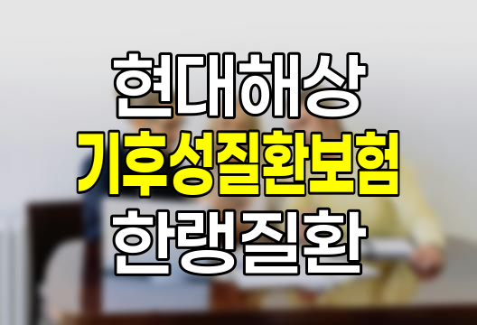 현대해상 기후성질환보험, 한랭질환과 온열질환 보험 상세 안내