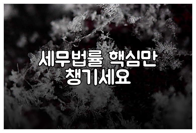 세무법률 핵심만 챙기세요