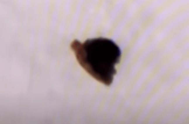 초전도 현상처럼 보이게 하는 물질