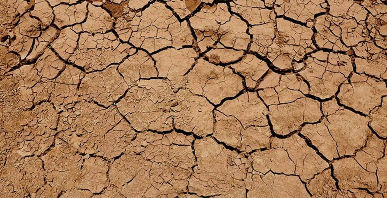 말라서 갈라진 땅