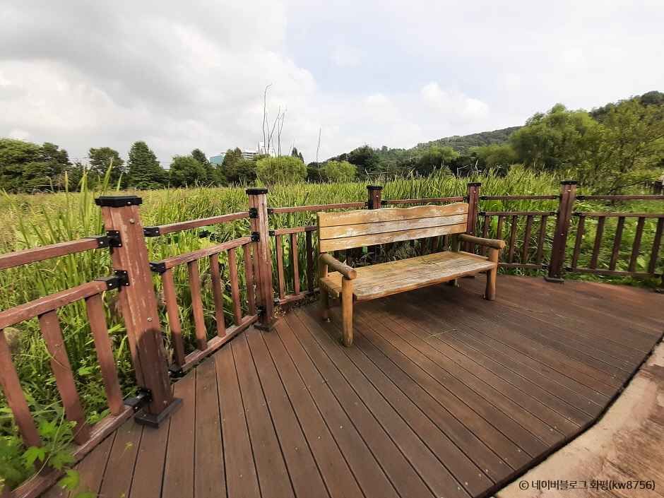 광명 가볼만한곳 베스트10