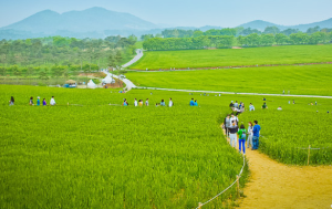 5월에 방문하는 축제 BEST 7